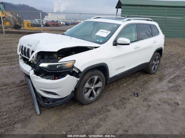 2019 JEEP CHEROKEE 1C4PJMDX8KD238118 Photo 1