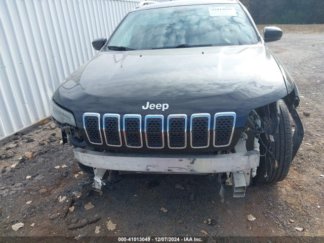 Jeep Cherokee Limited 4x4 2019 1C4PJMDN8KD163130 Image 6