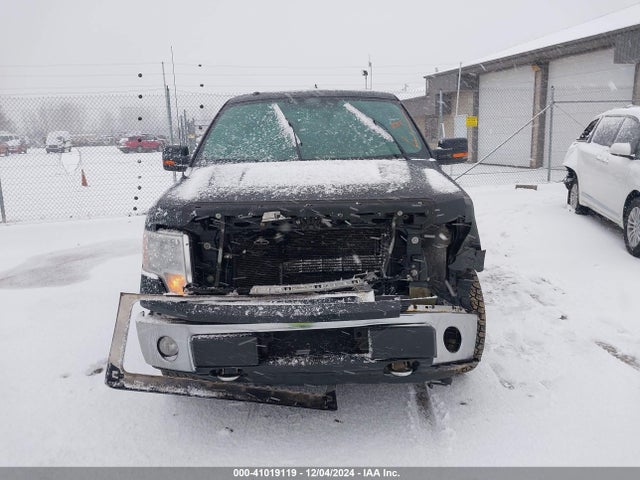 Ford F-150 Xlt 2014 1FTFW1EFXEFB00624 Image 12