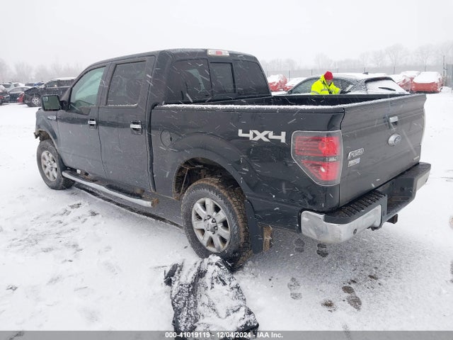 Ford F-150 Xlt 2014 1FTFW1EFXEFB00624 Image 3