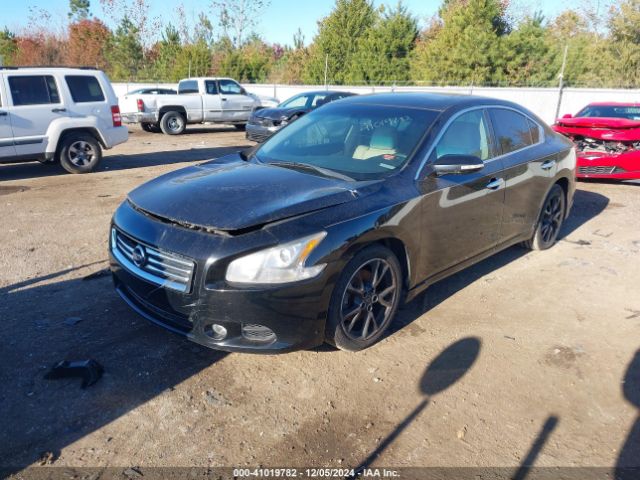 1N4AA5AP2EC450173 Nissan Maxima 3.5 Sv