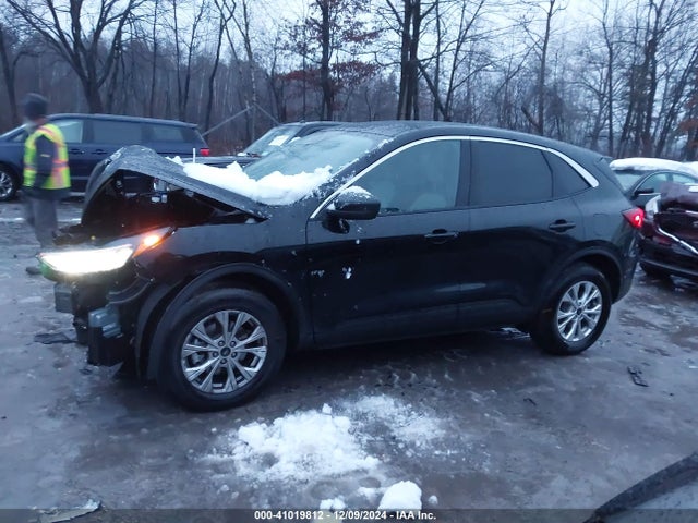 Ford Escape Active 2024 1FMCU9GN9RUB60435 Image 14