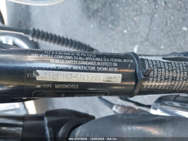 2009 HARLEY-DAVIDSON FXDL 1HD1GN4189K302085 Photo 9