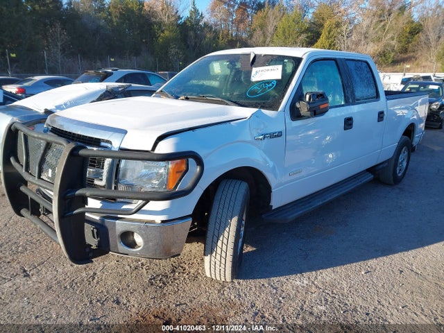 Ford F-150 Xlt 2014 1FTFW1ET0EKG06363 Image 2