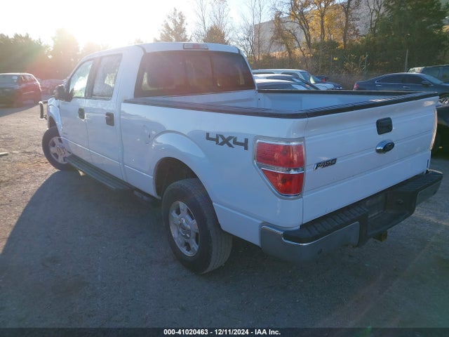 Ford F-150 Xlt 2014 1FTFW1ET0EKG06363 Image 3