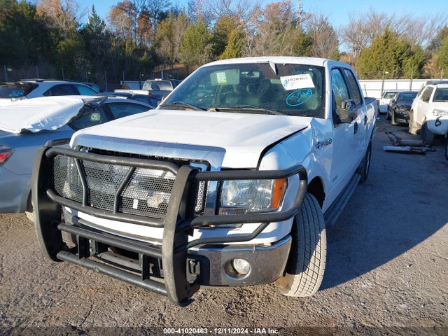 Ford F-150 Xlt 2014 1FTFW1ET0EKG06363 Image 6
