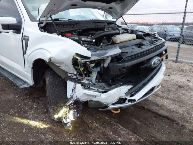 1FTEW1E84PFA18646 Ford F-150 Tremor