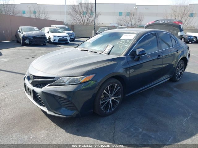 4T1M11AK7LU880059 Toyota CAMRY SE