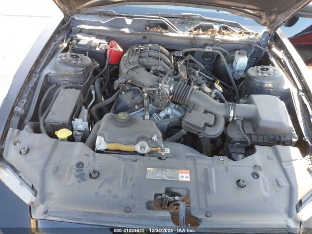 1ZVBP8AM6E5334707 Ford Mustang V6