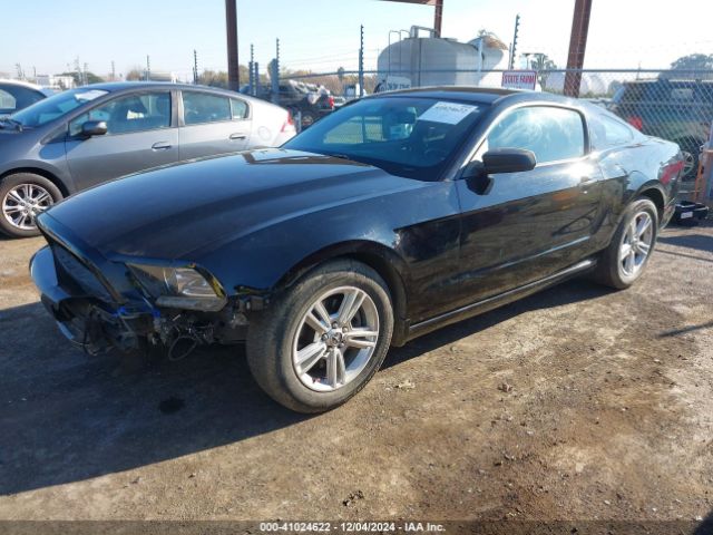 1ZVBP8AM6E5334707 Ford Mustang V6