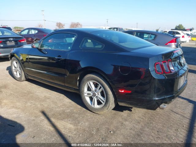 1ZVBP8AM6E5334707 Ford Mustang V6