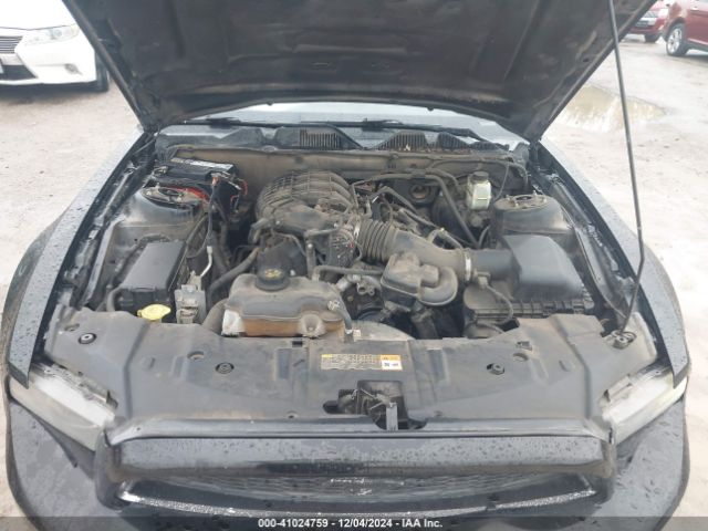 1ZVBP8AM1E5236555 Ford Mustang V6 Premium