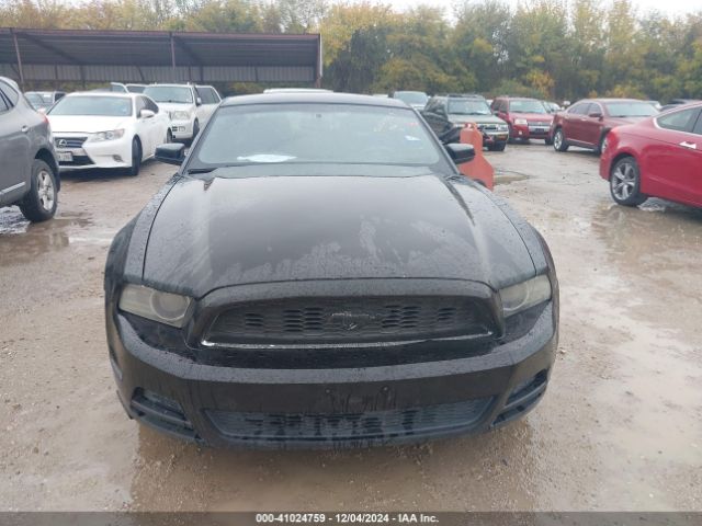 1ZVBP8AM1E5236555 Ford Mustang V6 Premium