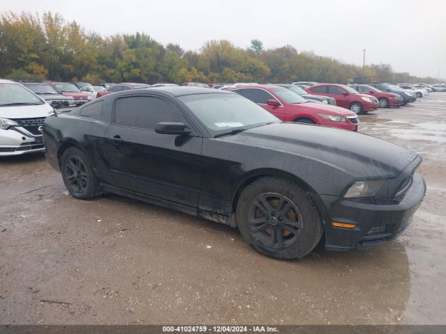 1ZVBP8AM1E5236555 Ford Mustang V6 Premium
