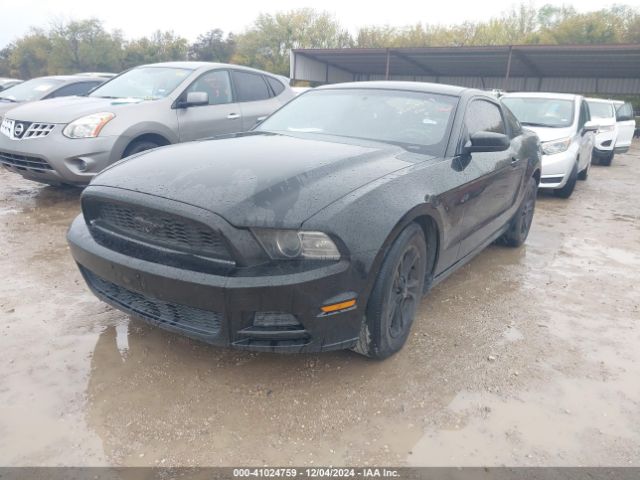1ZVBP8AM1E5236555 Ford Mustang V6 Premium