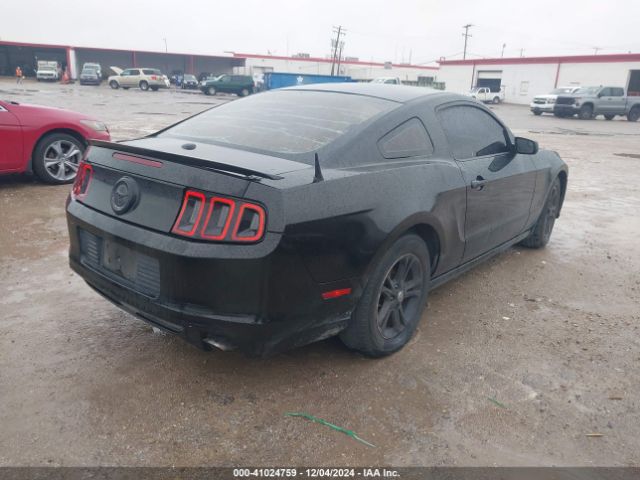 1ZVBP8AM1E5236555 Ford Mustang V6 Premium