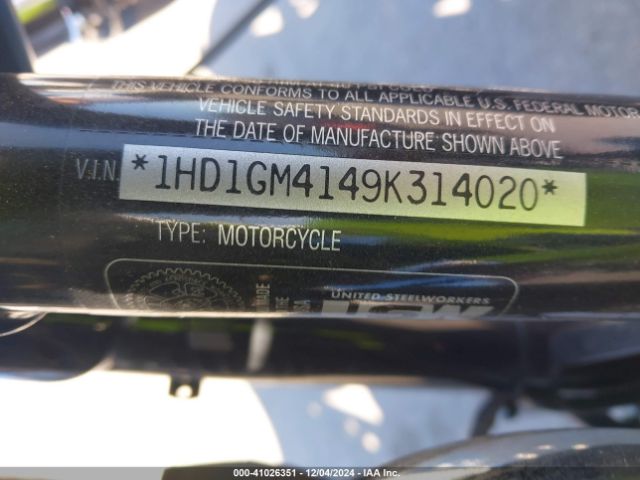 2009 HARLEY-DAVIDSON FXD 1HD1GM4149K314020 Photo 9