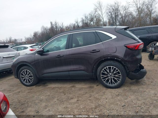 1FMCU0E14PUA19071 Ford Escape Phev
