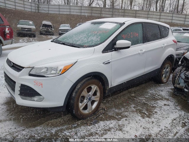 Ford ESCAPE SE 2014 1FMCU9GX9EUD95719 Image 2