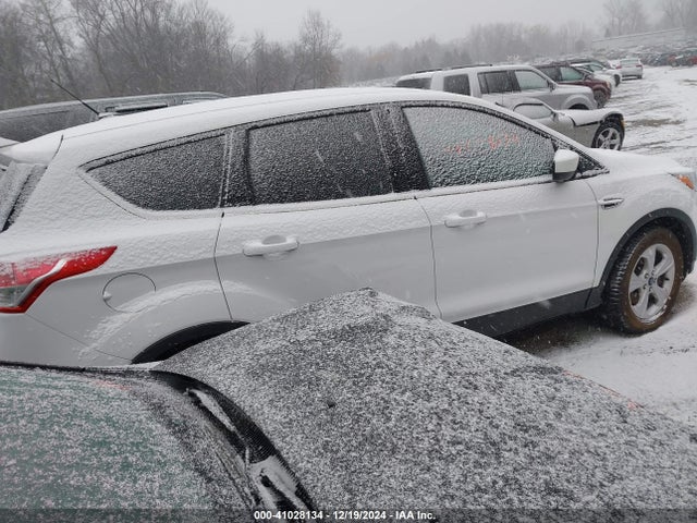 Ford ESCAPE SE 2014 1FMCU9GX9EUD95719 Image 4