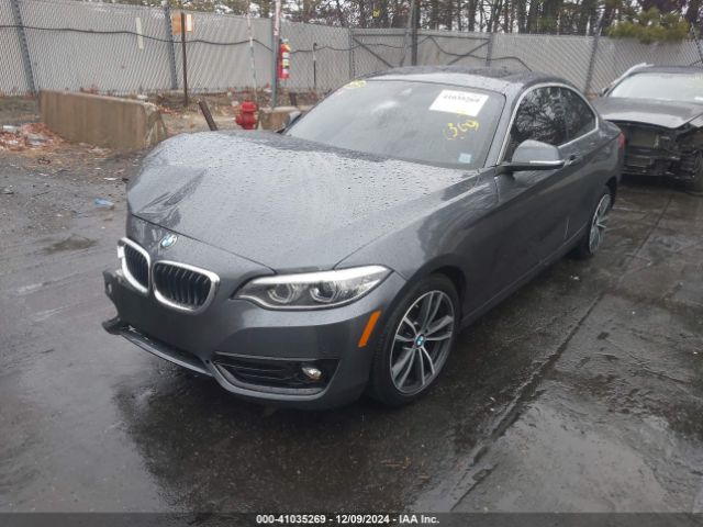 2019 BMW 230I WBA2J1C54K7D21519 Photo 1