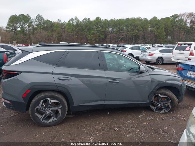 Hyundai Tucson Limited 2024 5NMJECDE6RH355121 Image 13