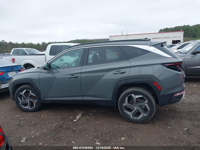 Hyundai Tucson Limited 2024 5NMJECDE6RH355121 Image 14