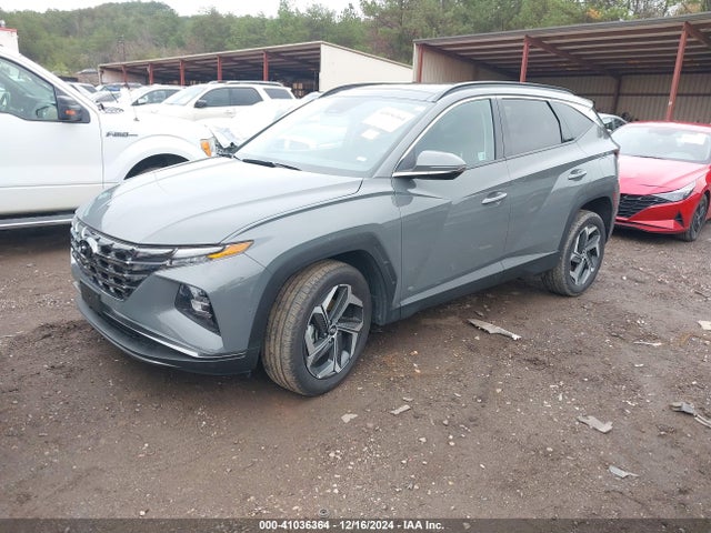 Hyundai Tucson Limited 2024 5NMJECDE6RH355121 Image 2