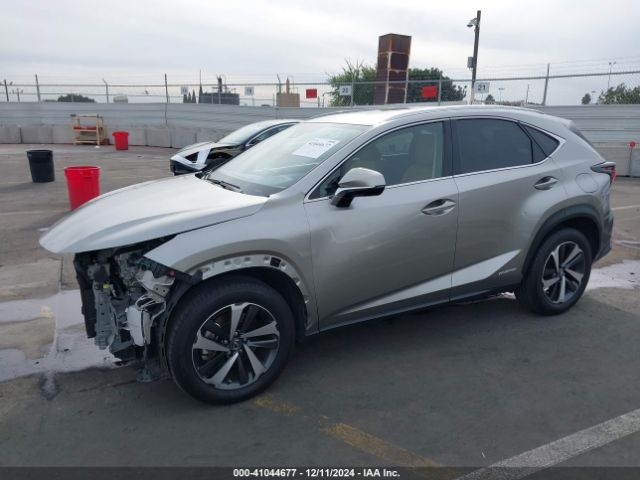 JTJGJRDZXL2145092 Lexus NX 300H