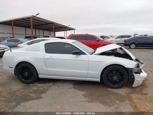 1ZVBP8AM6E5288148 Ford Mustang V6