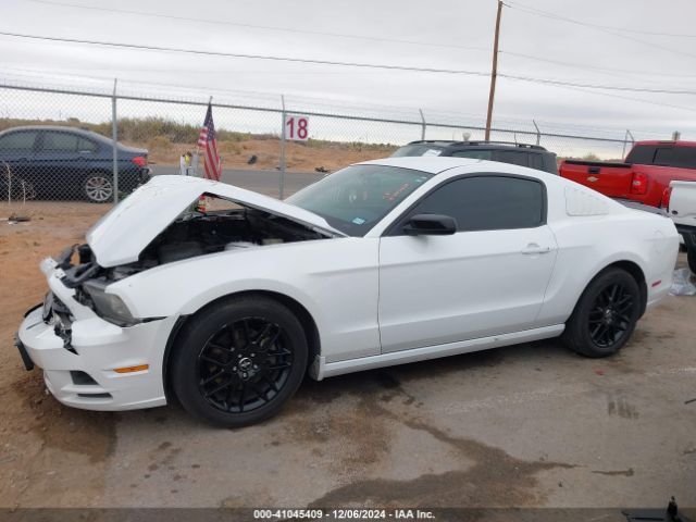 1ZVBP8AM6E5288148 Ford Mustang V6