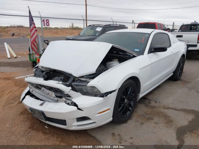 1ZVBP8AM6E5288148 Ford Mustang V6