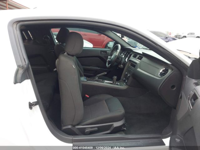 1ZVBP8AM6E5288148 Ford Mustang V6