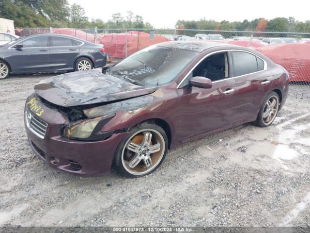 1N4AA5AP0EC460278 Nissan Maxima 3.5 S/3.5 Sv