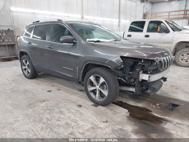 2019 1C4PJMDN2KD179923 zdjęcie główne