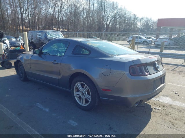 Ford Mustang V6 2014 1ZVBP8AM4E5257190 Image 3