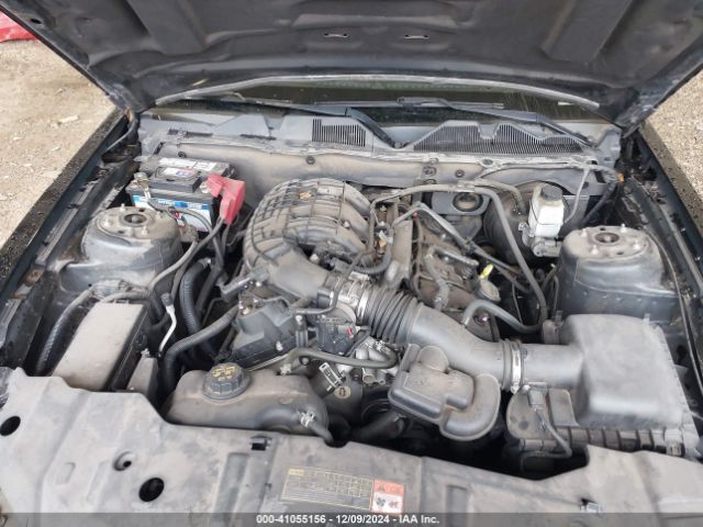 1ZVBP8AM4E5282381 Ford Mustang V6