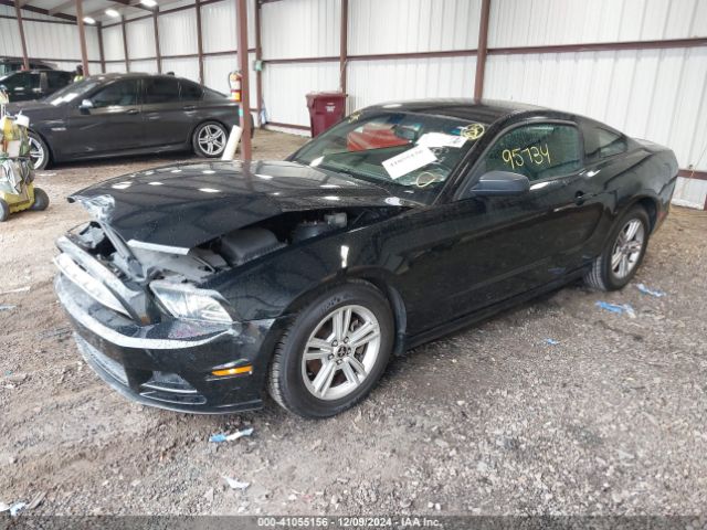 1ZVBP8AM4E5282381 Ford Mustang V6