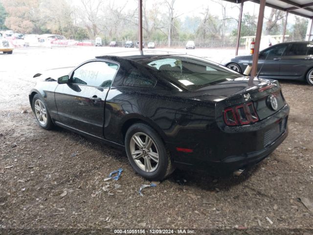 1ZVBP8AM4E5282381 Ford Mustang V6