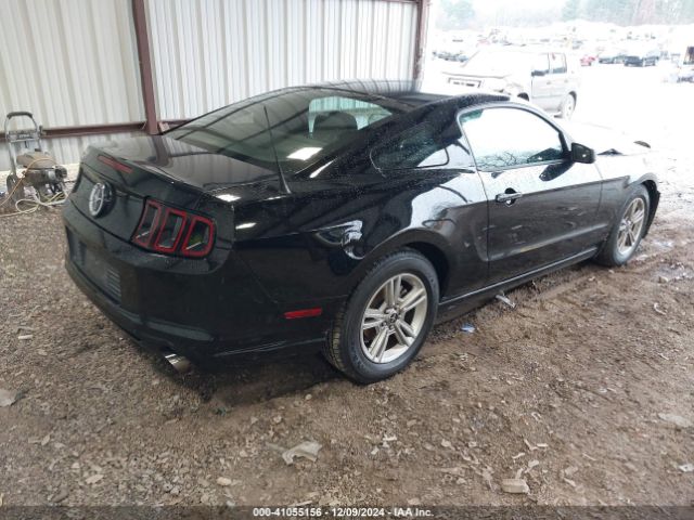1ZVBP8AM4E5282381 Ford Mustang V6