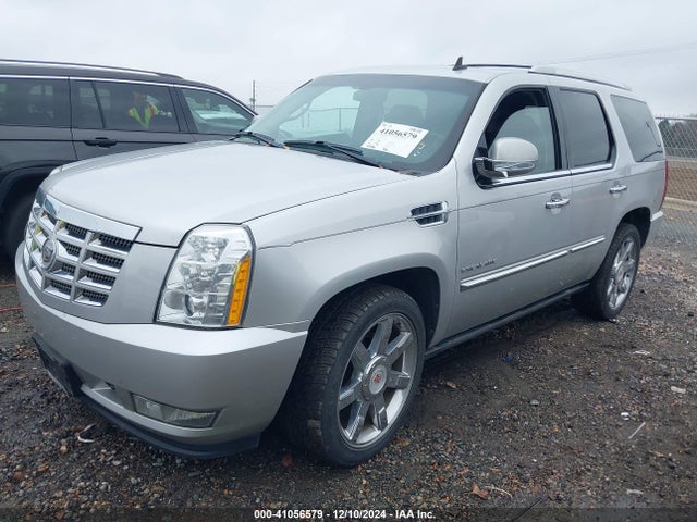 2011 CADILLAC ESCALADE 1GYS4CEF5BR277389 Photo 1