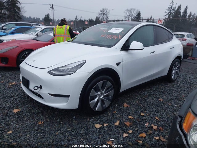2020 TESLA MODEL Y 5YJYGDEE9LF006282 Photo 1