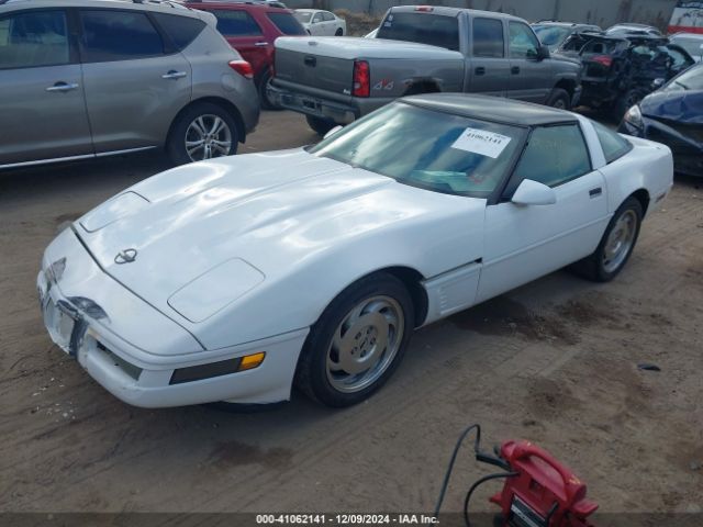 1996 CHEVROLET CORVETTE 1G1YY22P0T5106790 Photo 1