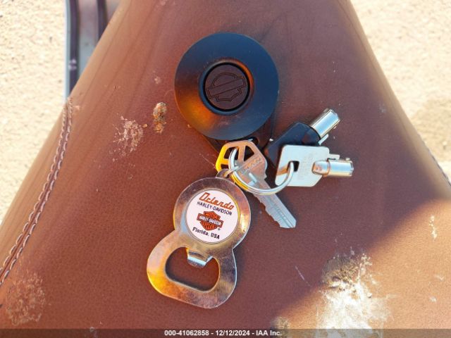 2003 HARLEY-DAVIDSON FXSTDSE 1HD1PFD163Y953077 Photo 10