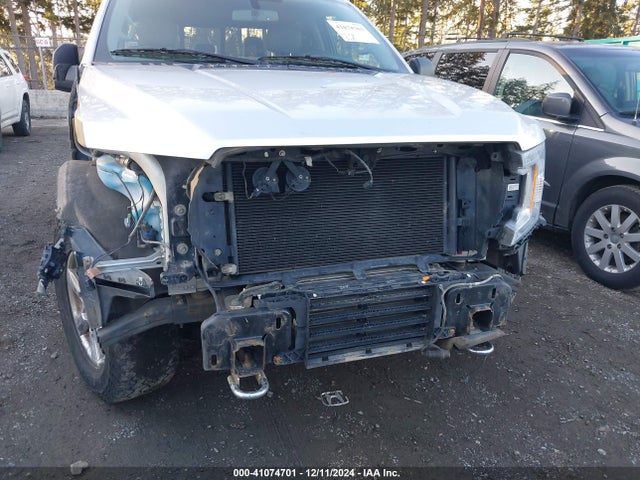1FTEW1E44KKC44294 Ford F-150 Xlt
