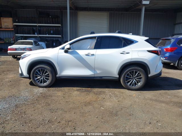 JTJGDCAZ0N5001223 Lexus Nx 250 Premium
