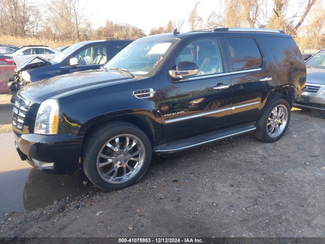 2011 CADILLAC ESCALADE 1GYS4AEF4BR274469 Photo 1