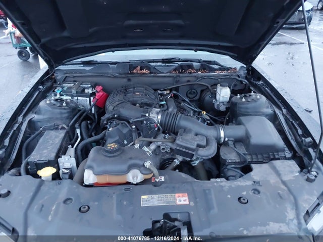 1ZVBP8AM4E5314617 Ford Mustang V6