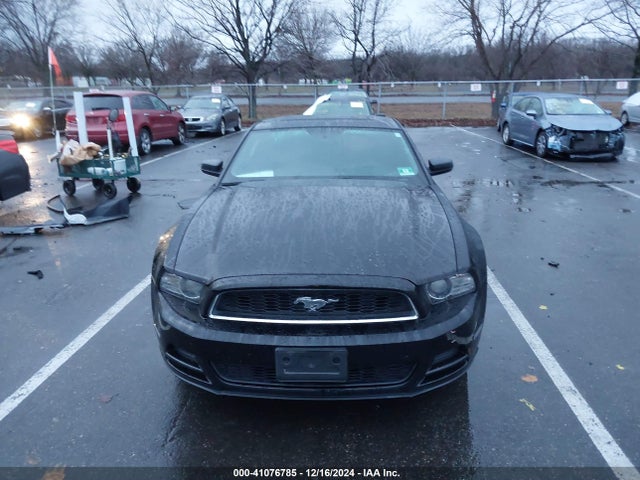 1ZVBP8AM4E5314617 Ford Mustang V6