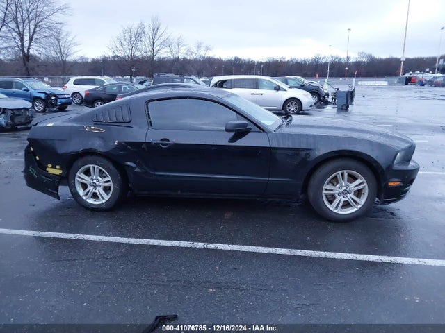 1ZVBP8AM4E5314617 Ford Mustang V6